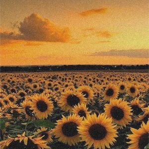 Meet your Posher, Alanna